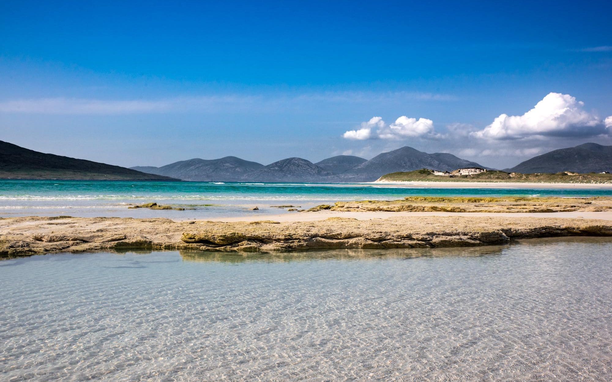 En Écosse ou sous les tropiques ?